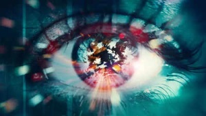 Brain's Eye View: Study Shows We Perceive World 15 Seconds in the Past