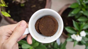 Used Coffee Grounds: Your Natural Weapon Against Garden Pests