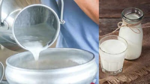 Raw Milk Risks: Why Unpasteurized Dairy Can Be Dangerous