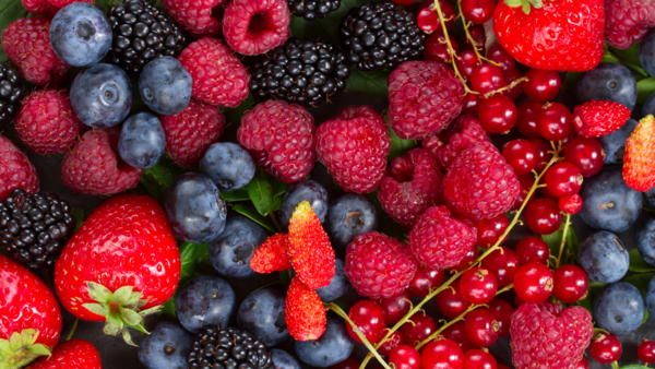 Healthy berries for a balanced diet