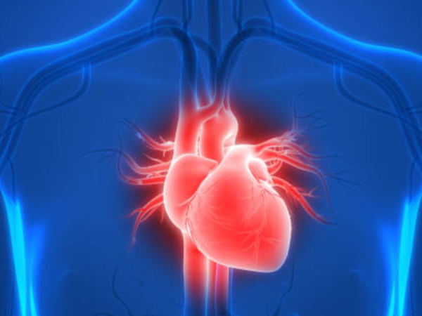 Graphical representation of a healthy heart with water droplets symbolizing hydration